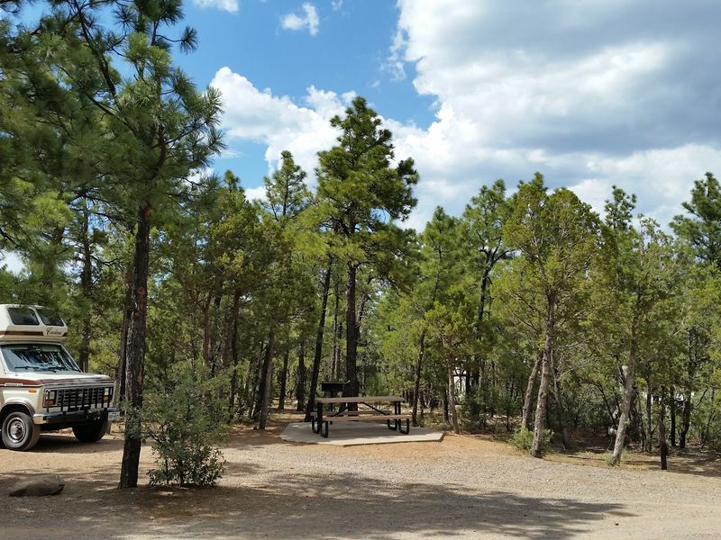 Woodlands, Wildlife, and the Quiet That Defines It