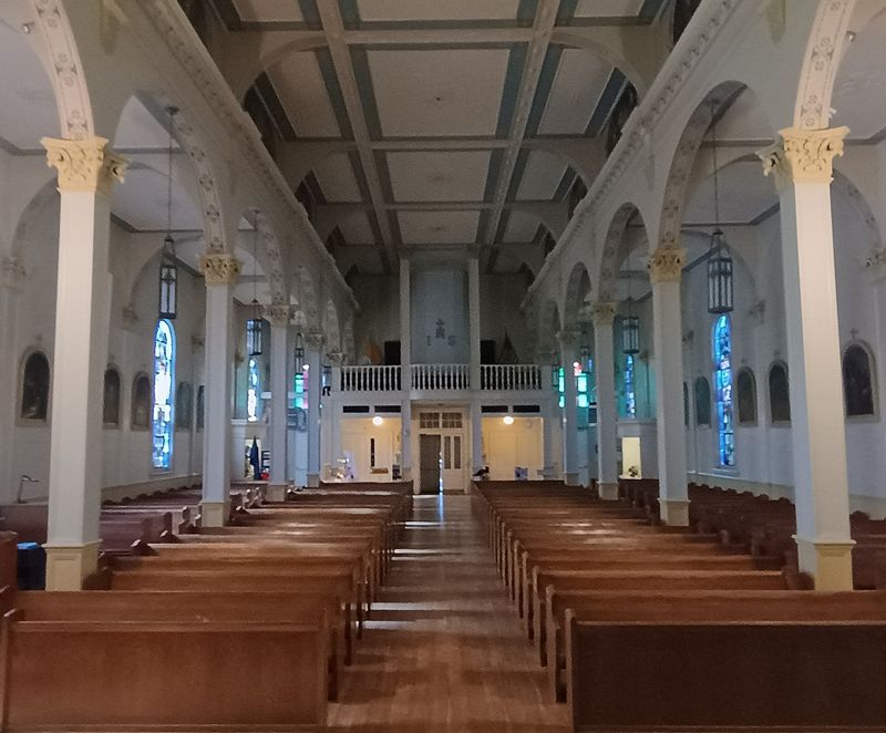 Who Feels At Home In This Quiet Sanctuary