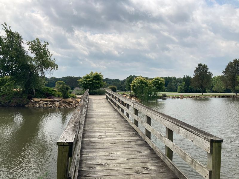 Seven Paved Miles Around The Water