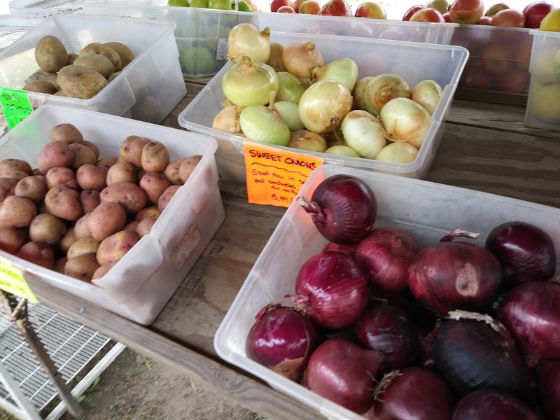 The Veggie Stand Keeps Daily Summer Hours