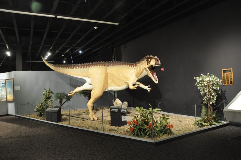 Real Digs Beyond The Museum Walls