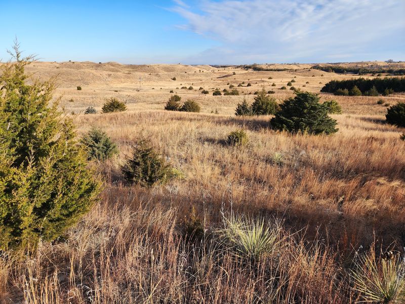 The Bessey Area Spreads Across About 90,000 Acres
