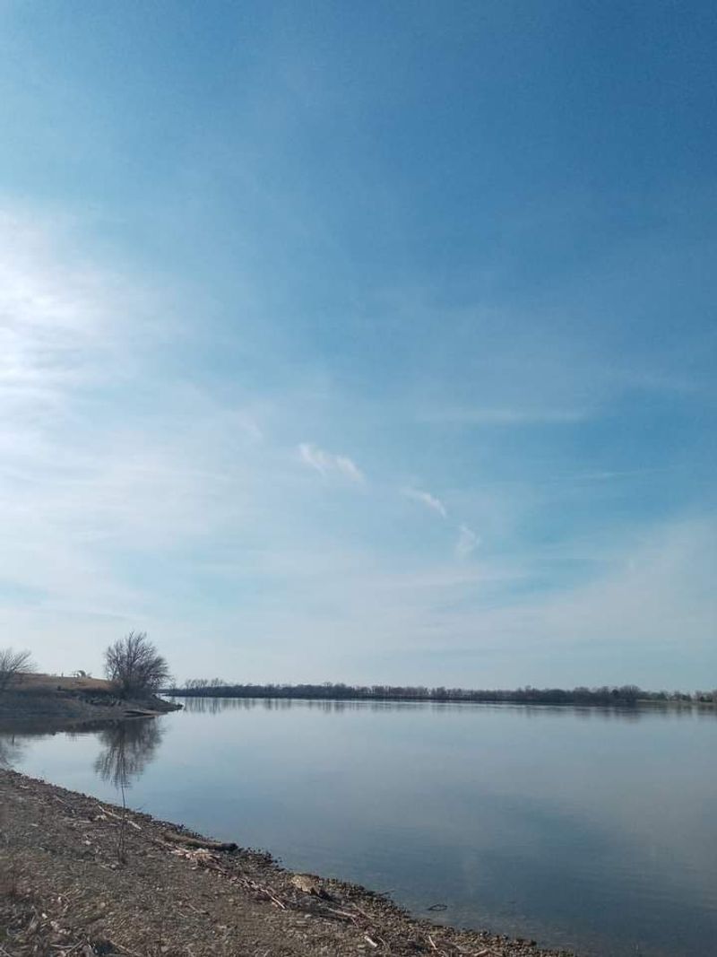 Water Snakes Are Among Kansas Reservoir Residents