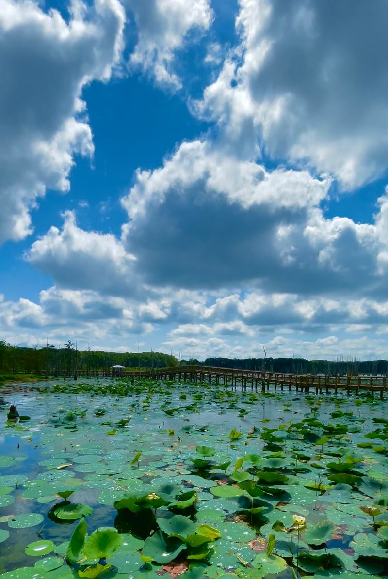 The Observation Deck And Its Sweeping Lake Views