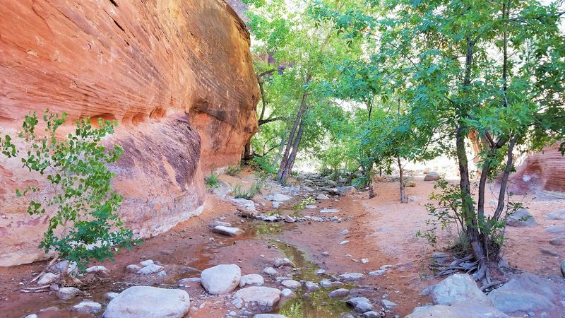 Red Reef Trail Gives The Cliffs A Closer Look