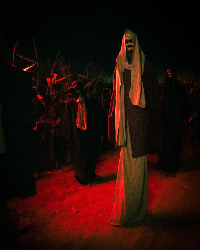 The Straightforward Appeal Of One Haunted Maze