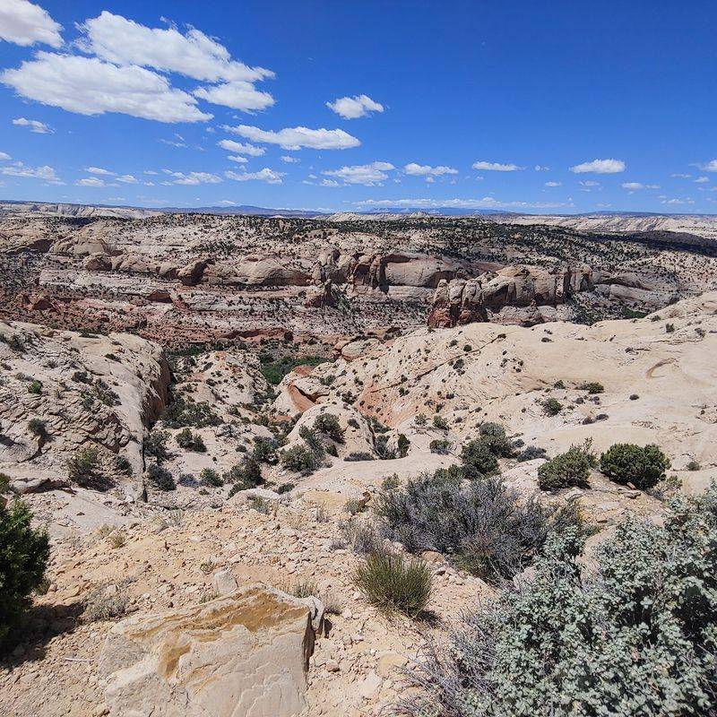 Why Wagons Needed A Gap In The Cliff