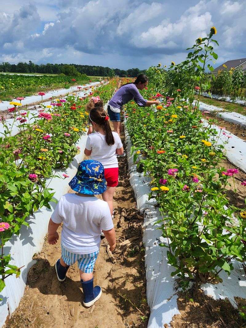 Farm Play Takes Over Liuzza Land