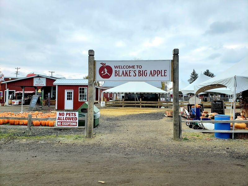 Blake’s Big Apple Sits In Armada