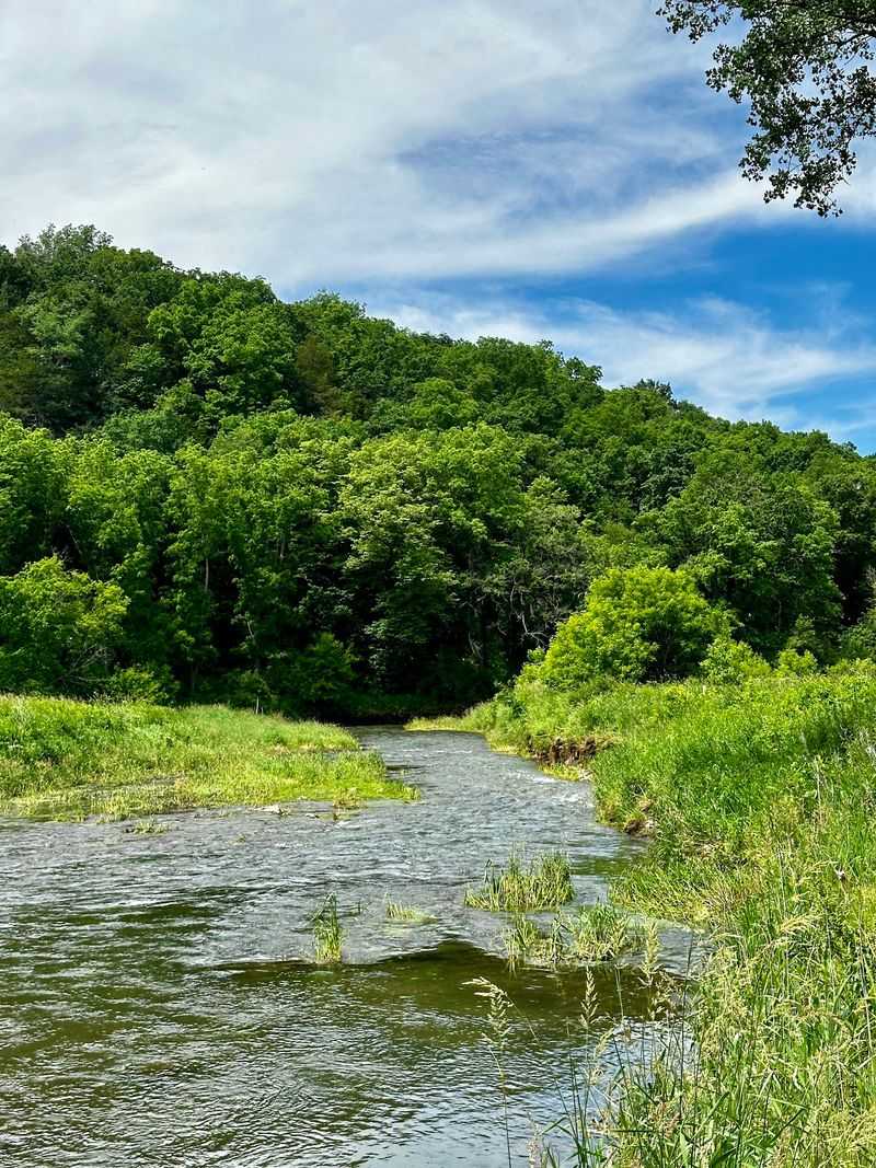 Cold Springs And Clear Water