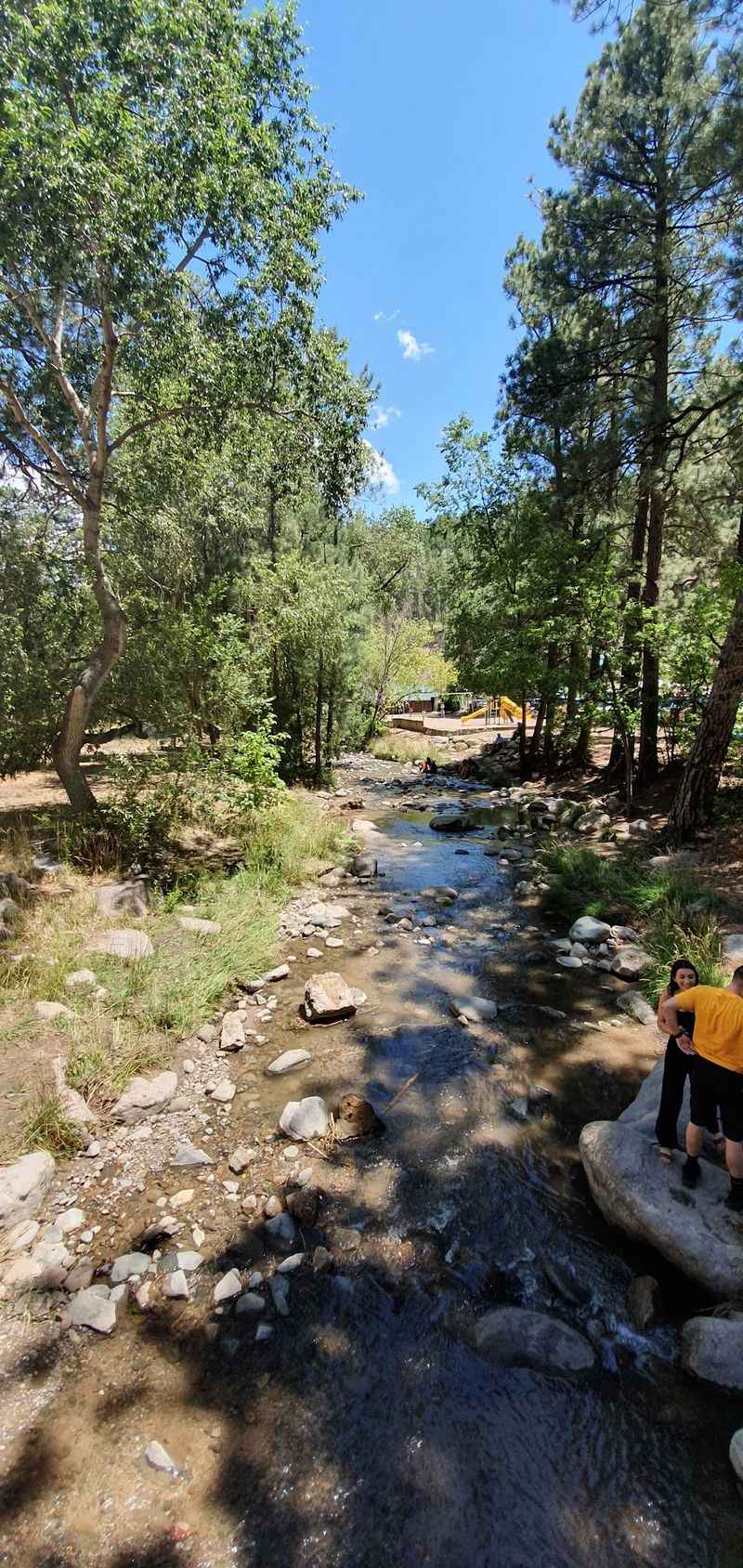 Trails That Ramble Through the Lincoln National Forest