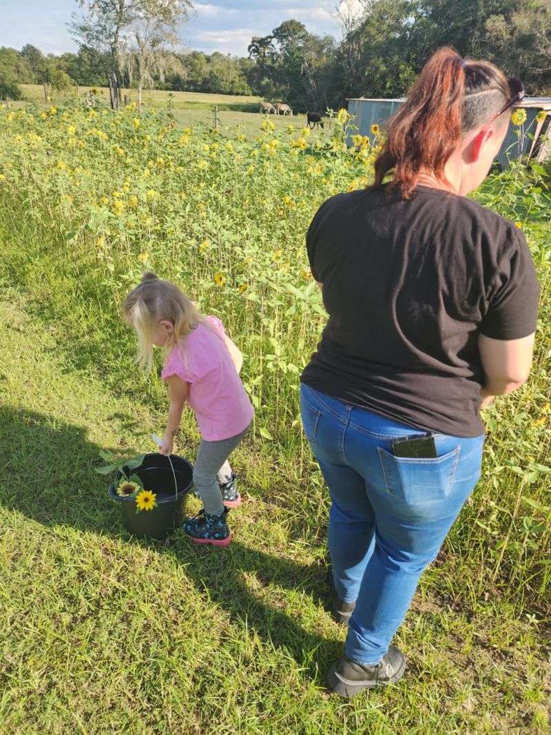 Helpful hosts and a welcoming farm culture