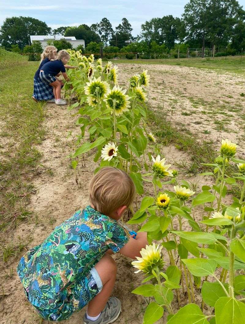 Seasonal openings that make each visit feel timely
