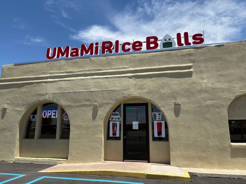 Umami Rice Balls