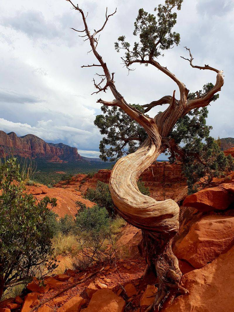 Cathedral Rock Rewards Careful Timing