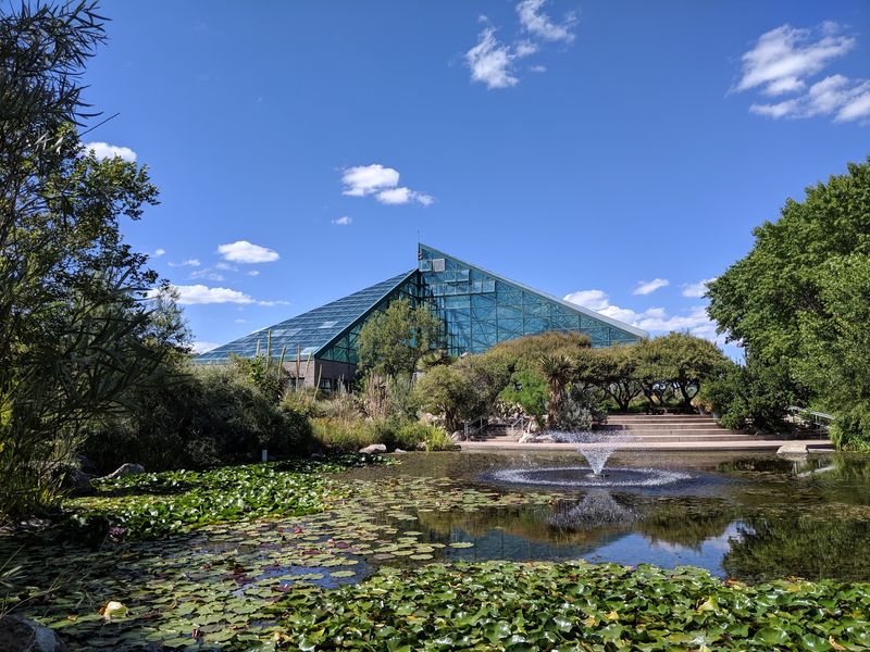 Harvest Festival At ABQ BioPark, Albuquerque