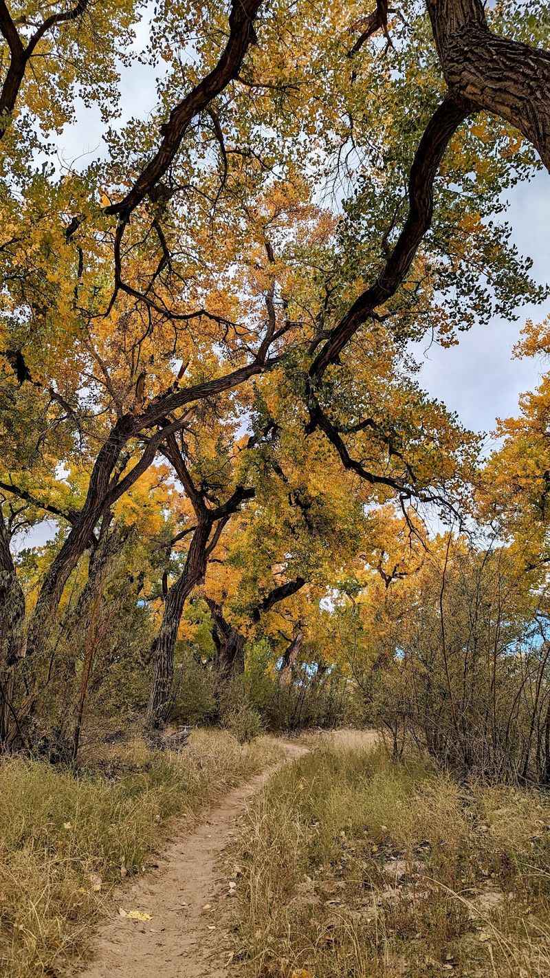 River Loop Trail, Albuquerque