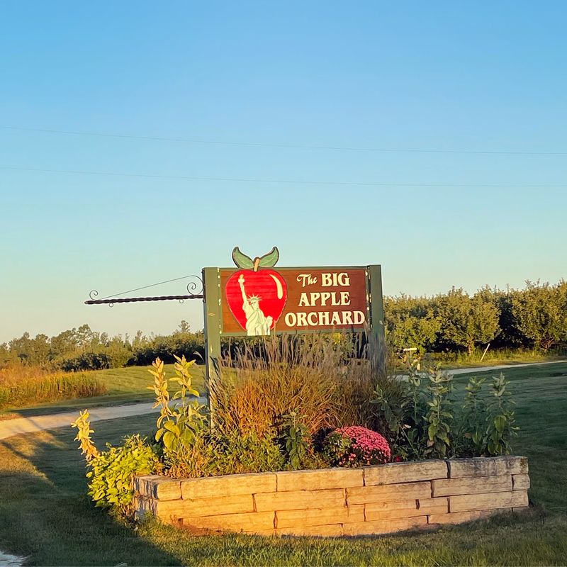 The Big Apple Orchard, Mount Vernon
