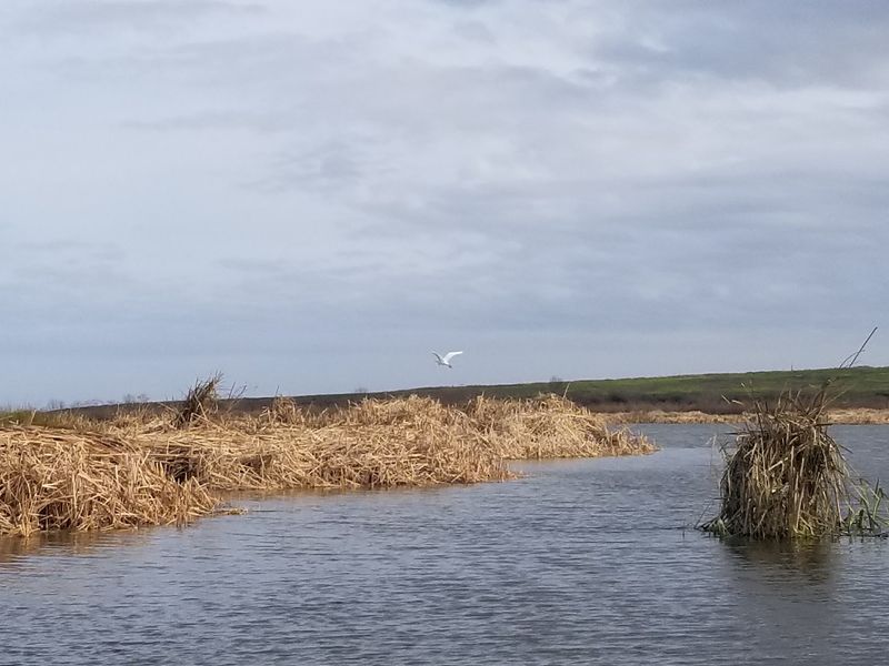 A Birdwatcher's Quiet Paradise