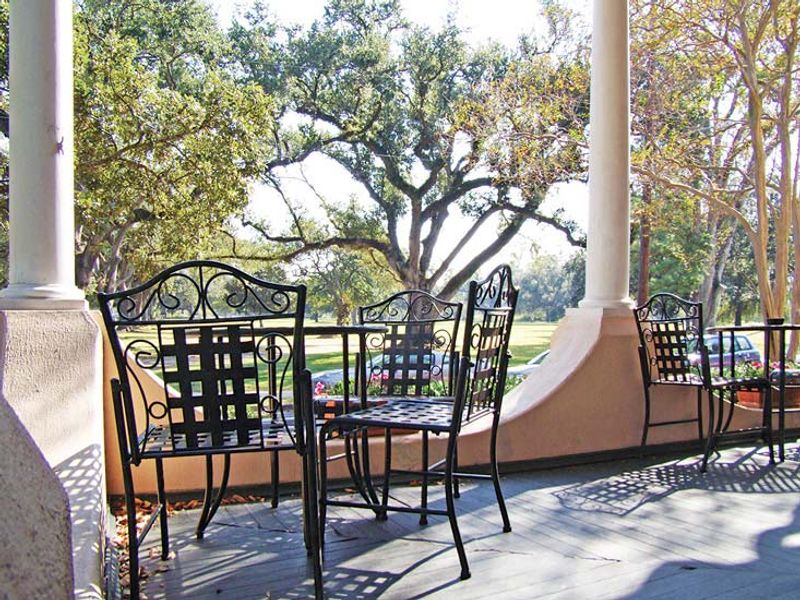 An Audubon Park backdrop that softens the city