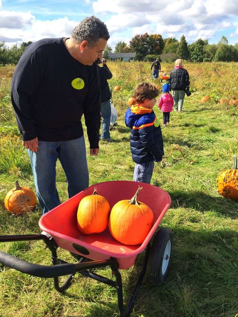 Wagon Rides, a Big Maze, and a Pumpkin Hunt
