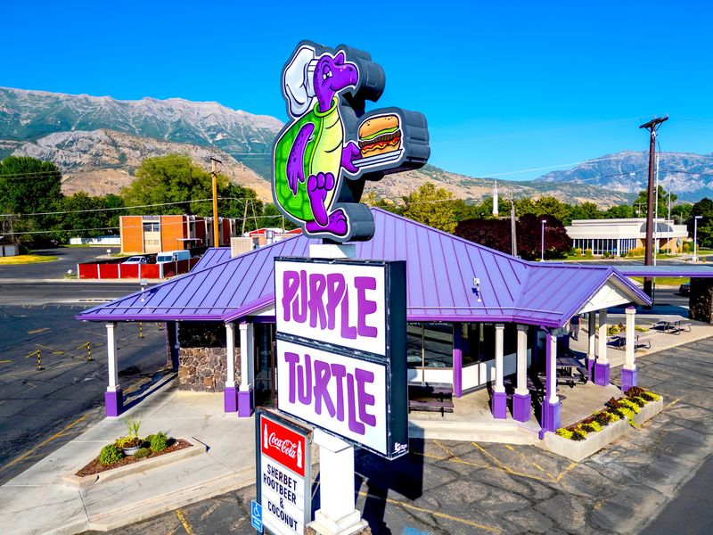 Why The Purple Turtle Stays In Mind