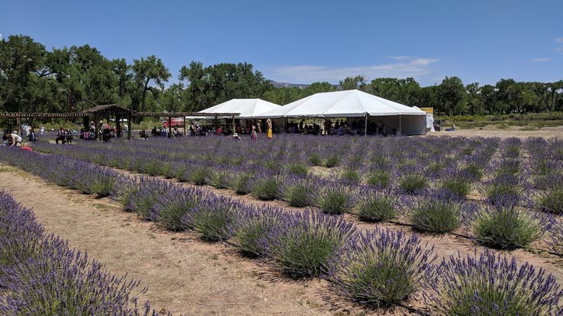 Learning the Craft Through Farm Tours and Programs