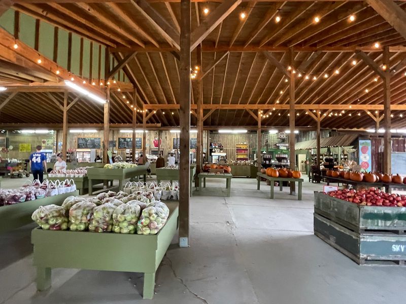 The Market Shelves Worth Browsing