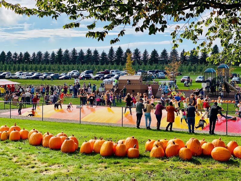 Apple Fest Carries A Family Tradition Dating To 1983
