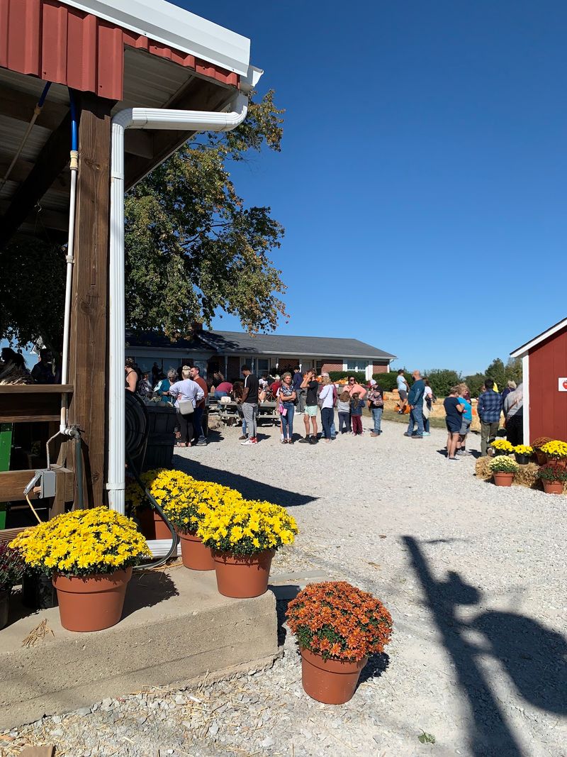 The Orchard Keeps A Long Agricultural History In The Background