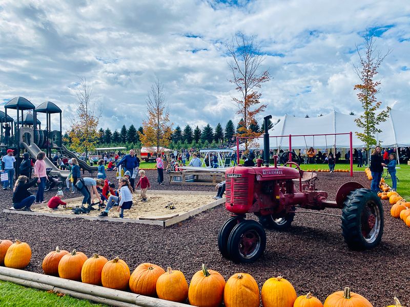 The Playground Adds Zip Lines, Slides And A Jumping Pillow