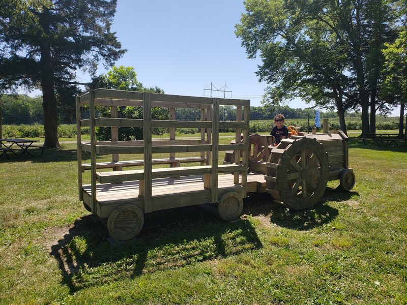 Tractor Rides Carry You Out To The Fields And Back