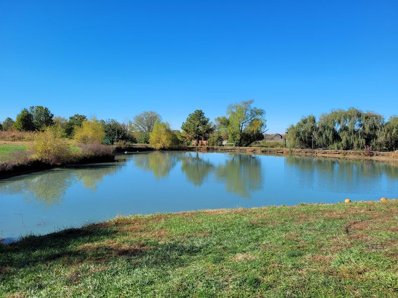 Ponds, Willows, And Ducks Make The Grounds Photo Worthy