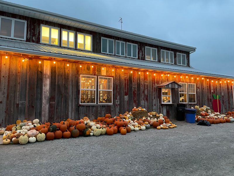 Wilson's Orchard & Farm, Iowa City