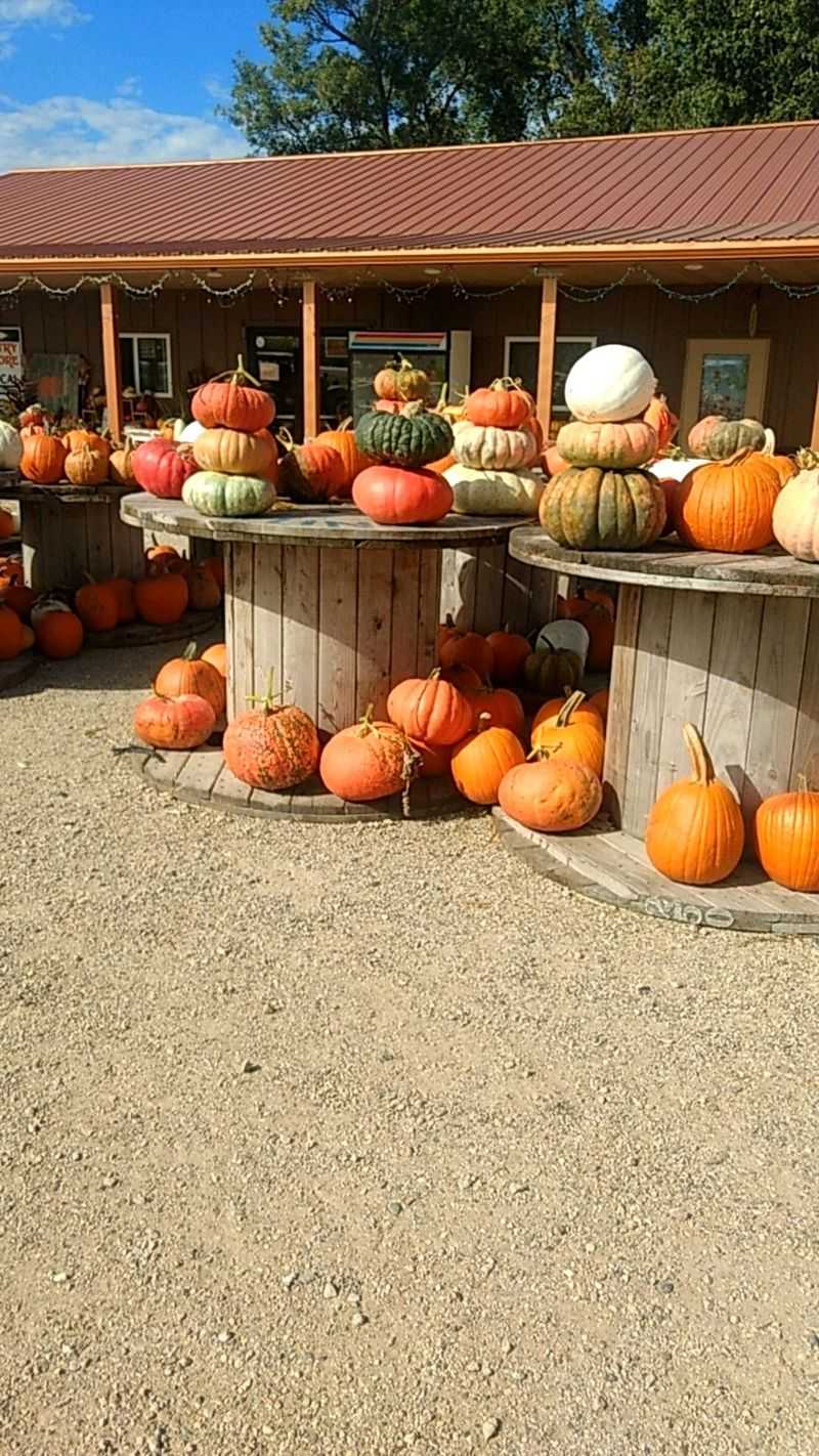Solsma's Punkin Patch, Sanborn