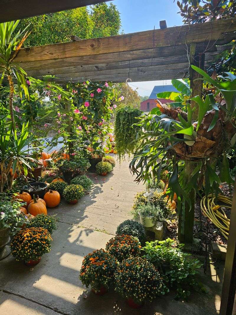 Athens Farmers Market Has Included The Orchard Since 1984
