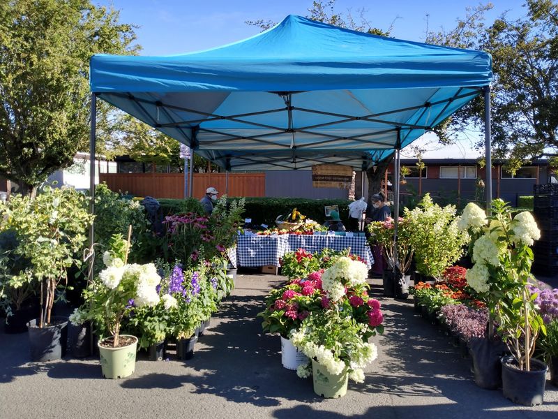 Beaverton Farmers Market