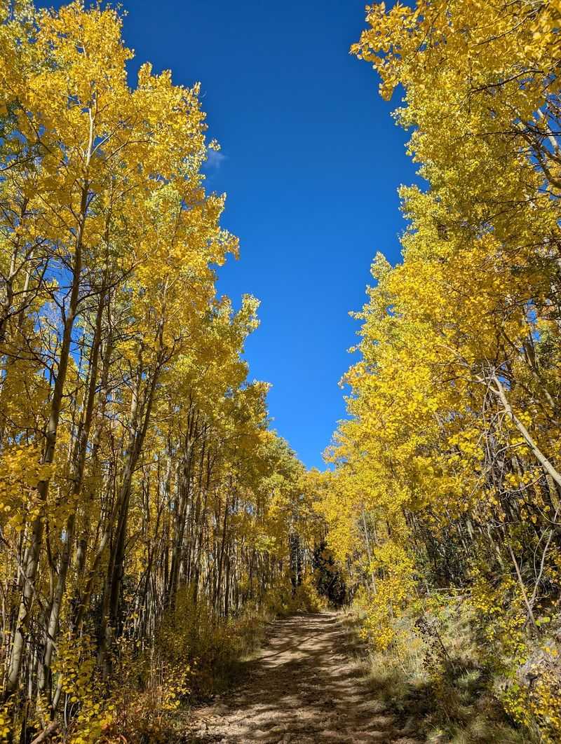 Every Bend Brings More Fall Color