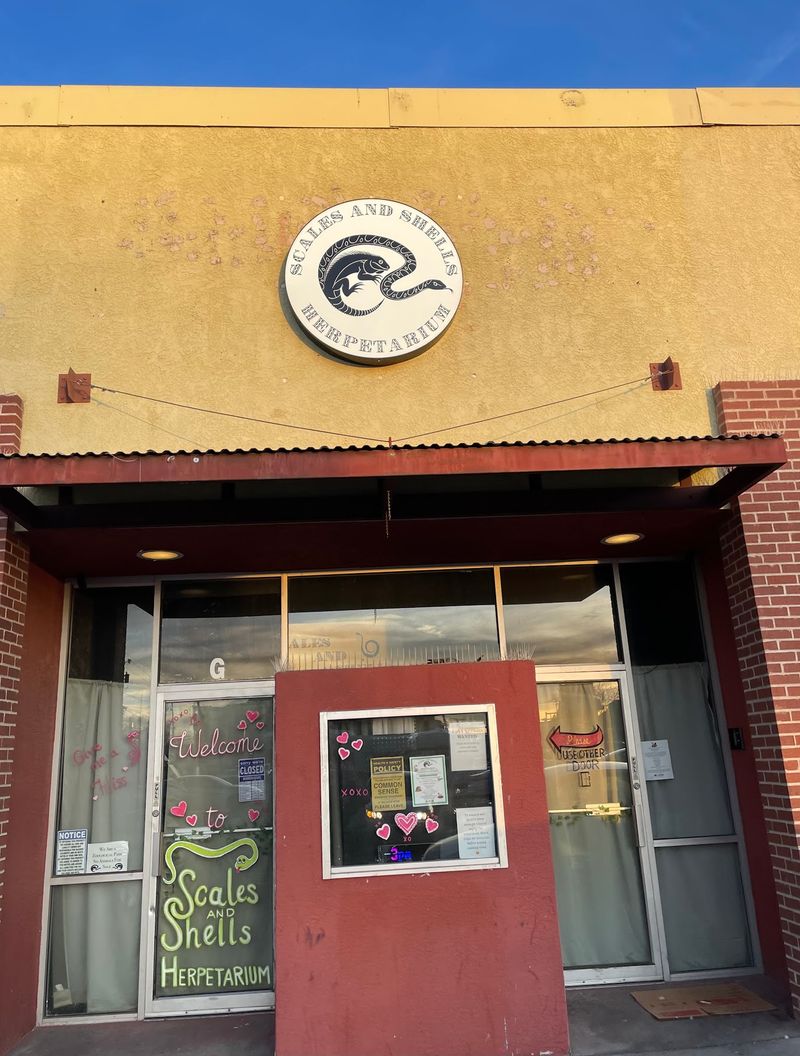 A Reptile Zoo Right On Central Avenue