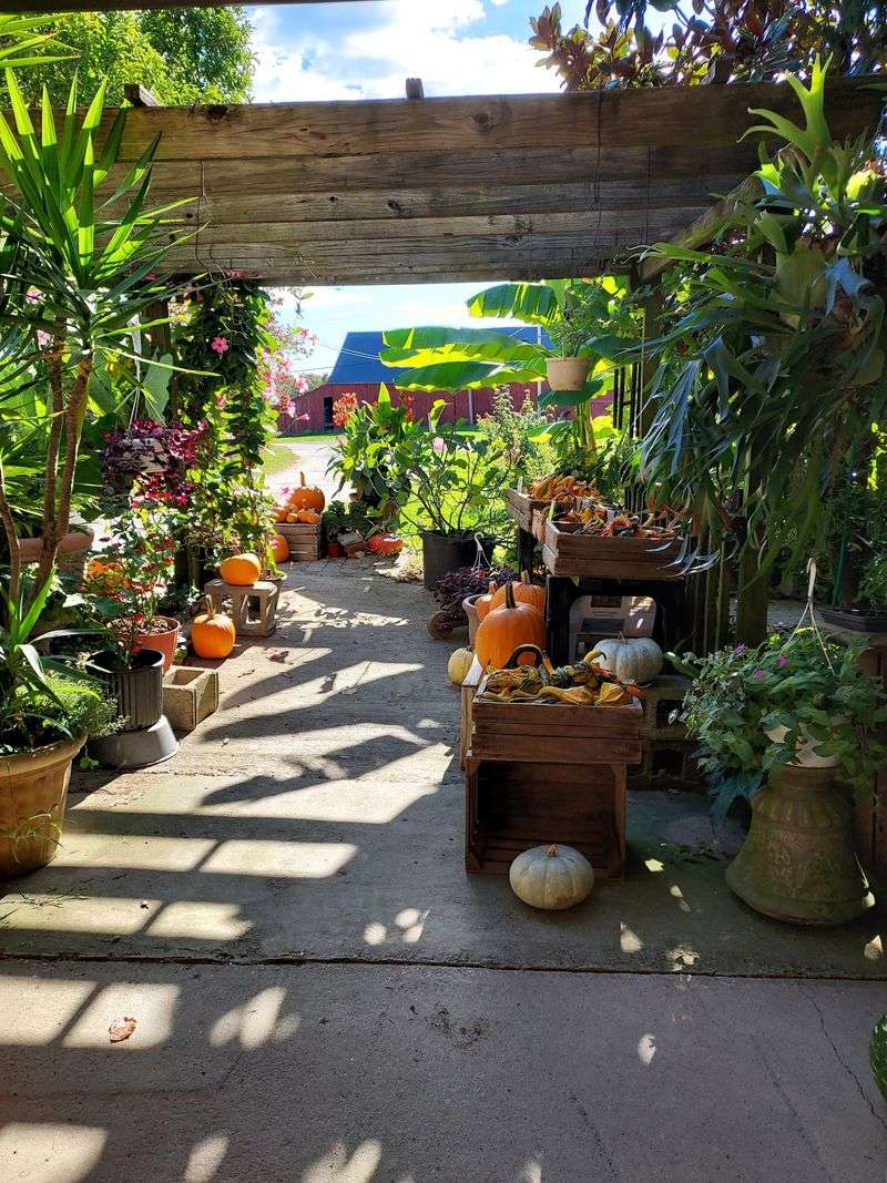 Fall Hours Make Timing Part Of The Plan