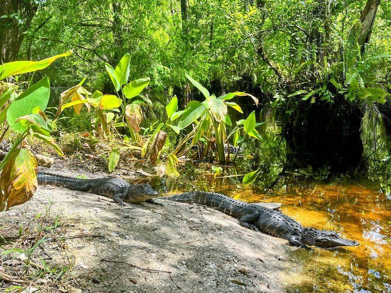 Crew Wildlife and Environmental Area