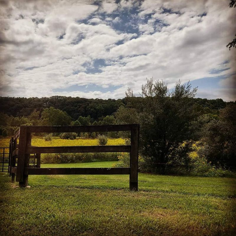 October Brings Apples, Pumpkins And Changing Farm Schedules