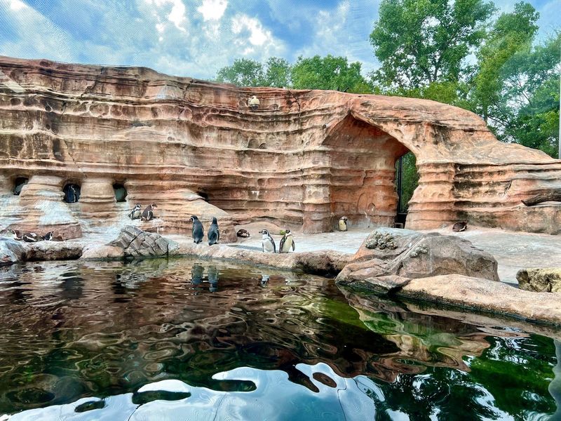Penguins And A Reopened Rainforest Building