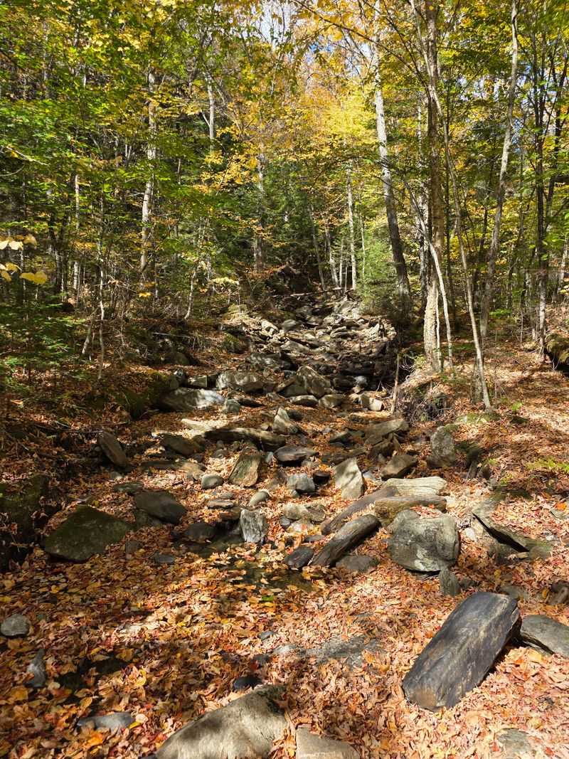 The Harder Trails Demand Better Footing And More Time