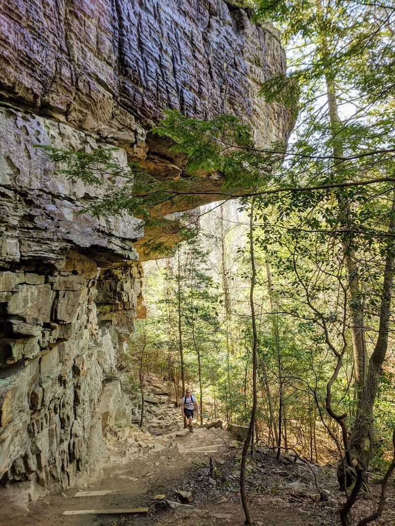Savage Gulf Became Its Own State Park In 2022