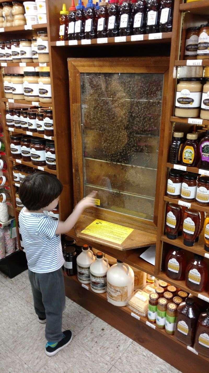 A Friendly Stop for Families, Locals, and Longtime Fans