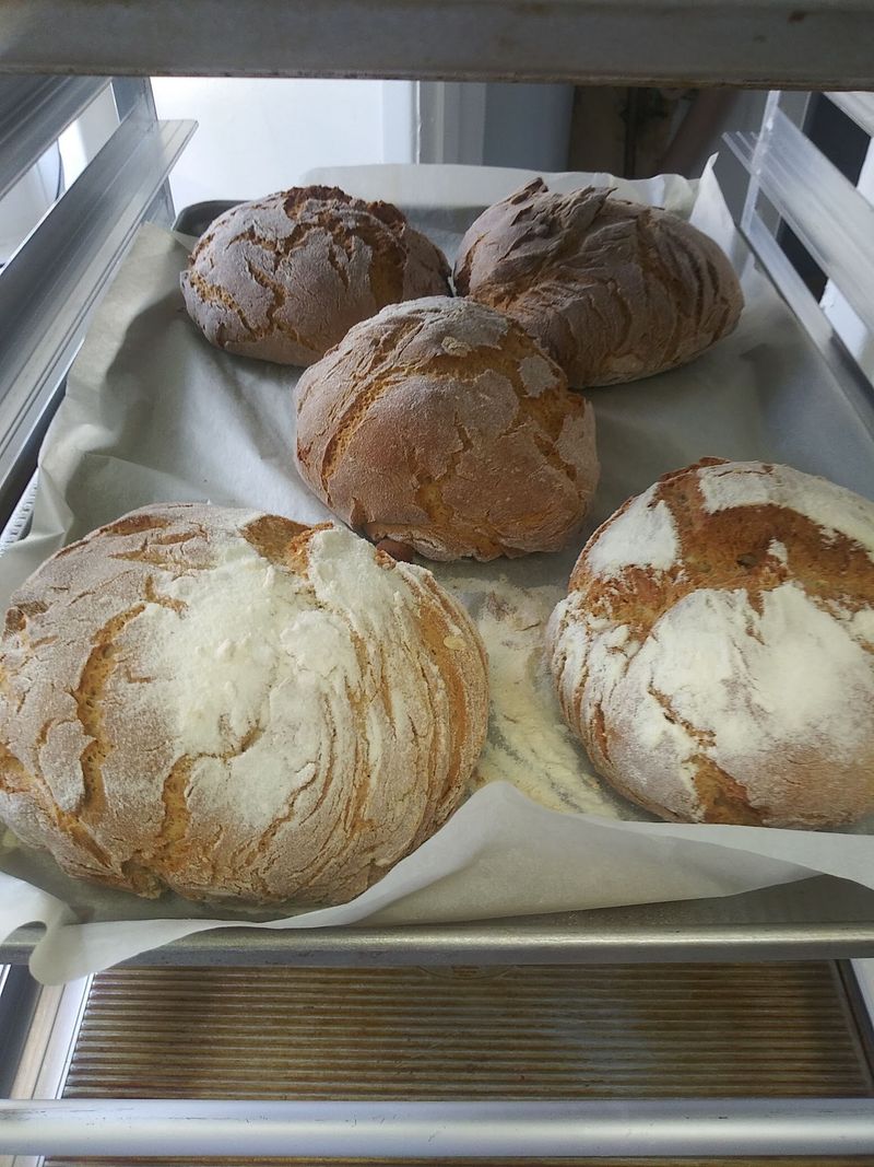 Brioche, Sourdough, and a Loaf for Tomorrow