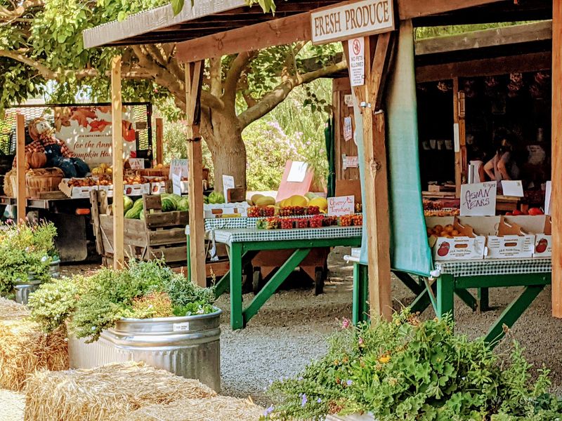 Smith Family Farm, Brentwood, CA