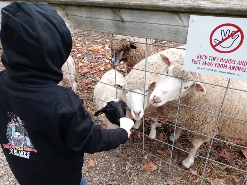 Spookyland Gives Younger Visitors A Lighter Option