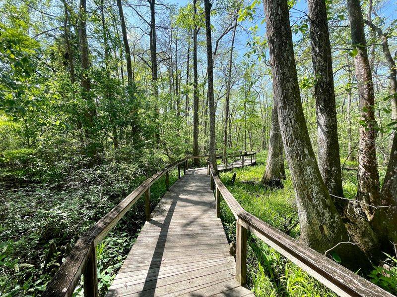 BREC's Bluebonnet Swamp Nature Center, Baton Rouge, LA